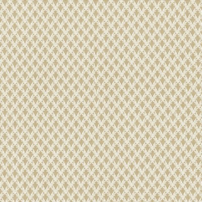 Kasmir Patio 55 Taupe in 5138 Brown Polyester  Blend